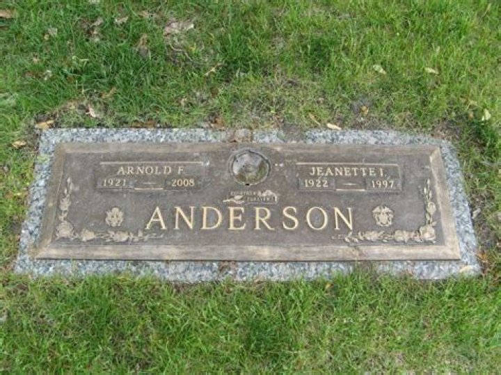 Arnie Anderson's Life And Legacy